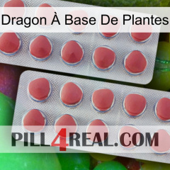 Dragon À Base De Plantes 19